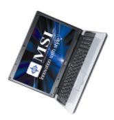 Ноутбук MSI EX630