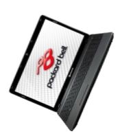 Ноутбук Packard Bell EasyNote F4211 AMD