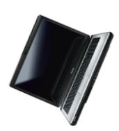 Ноутбук Toshiba SATELLITE L350D-10X