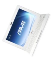Ноутбук ASUS Eee PC X101H