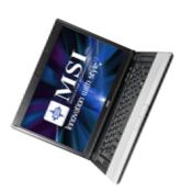 Ноутбук MSI EX400